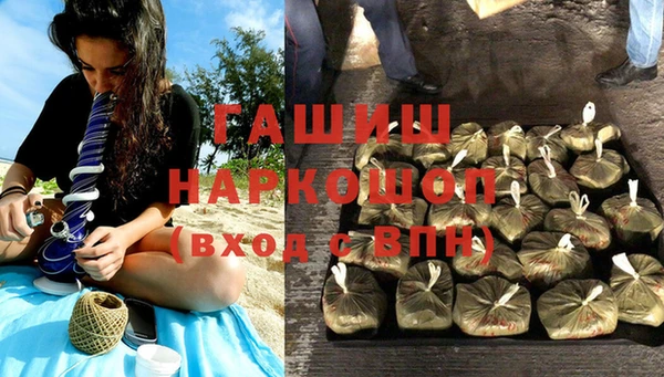 прущие грибы Армянск