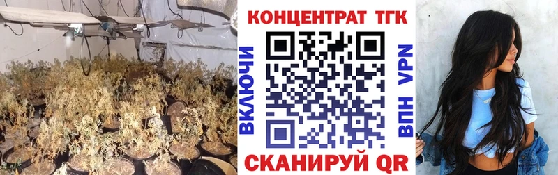 ТГК вейп с тгк  Купить закладки  Гурьевск 