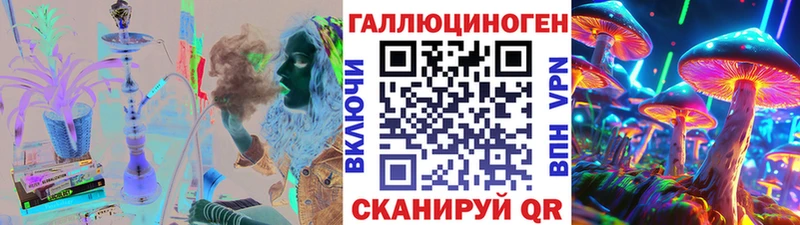 Купить где  Гурьевск  Псилоцибиновые грибы GOLDEN TEACHER 
